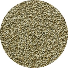 Fischfutter Granulat Grün