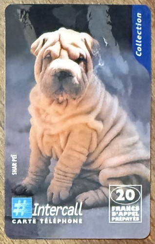 Hund dog shar - hund, pei