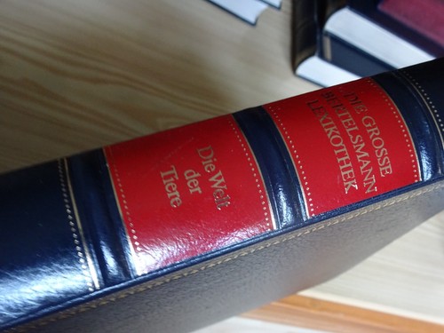 Die welt der - die,