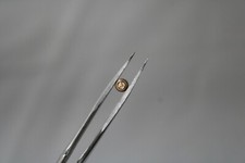 Rodania Corona Krone Gelbgold