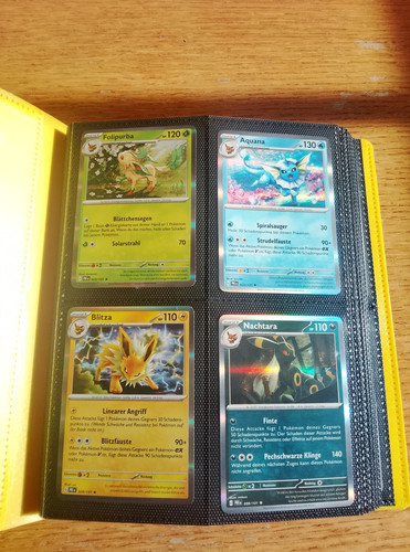 Pokémon sammelordner 100 - ✨, sammelordner|