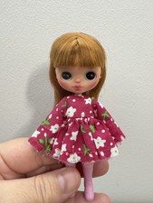 Takara Cocoa Butter Petite
