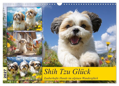 Shih tzu glück zauberhafte - tzu, glück.
