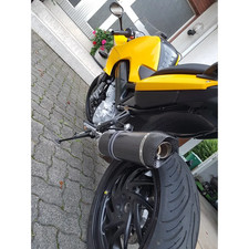 AUSPUFF SPECIAL CARBON ROADSITALIA BMW F 800 S / ST