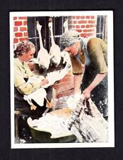 40431/ Zigarettenfabrik W. Lande Dresden – Auf deutscher Scholle – Nr. 240