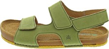 El Naturalista Horizon Damen
