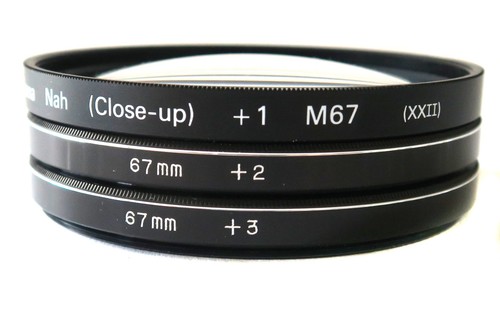 Hama europa foto - close, up