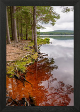 Cairngorms Nationalpark