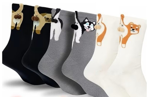 Paar hunde socken mit - mit, 3d