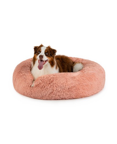 Ware lionto hundebett - lionto,