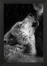 Schwarzer Wolf heult Kunst