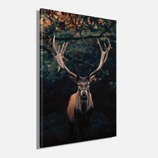 Wandbild HIRSCH ca.78x118 cm – Leinwandbild Keilrahmen Deko modern