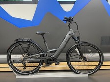 Pegasus Savino EVO FS 10 Lite