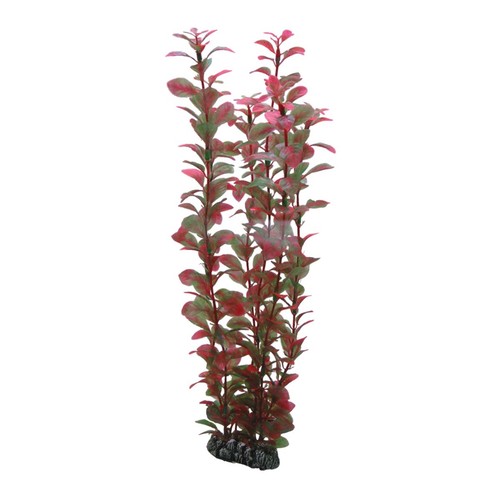 Hobby ludwigia - hobby, 34