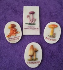 NEU!Deko Bilder Pilze Klein