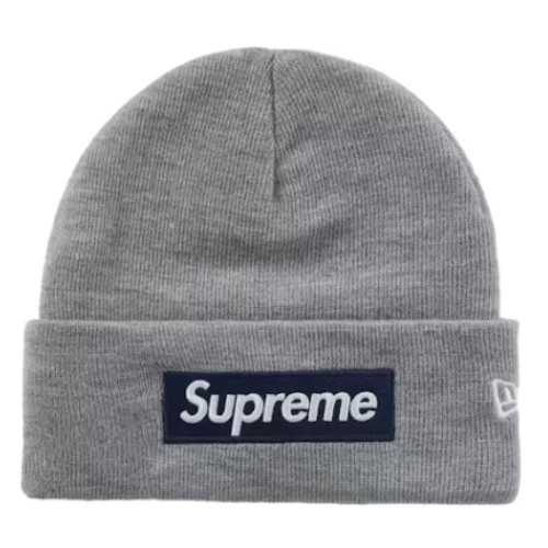 Supreme new era - new, logo