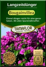 Bougainvillea Dünger, einmal