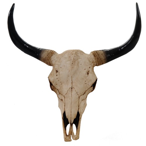 Deko schädel 64cm stier - deko, 64cm,
