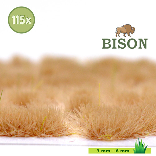 505 bison gras - 505, winter
