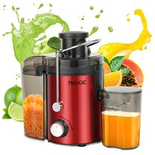 Entsafter elektrische Saftpresse Edelstahl 1000ML Presse Obstpresse DHL