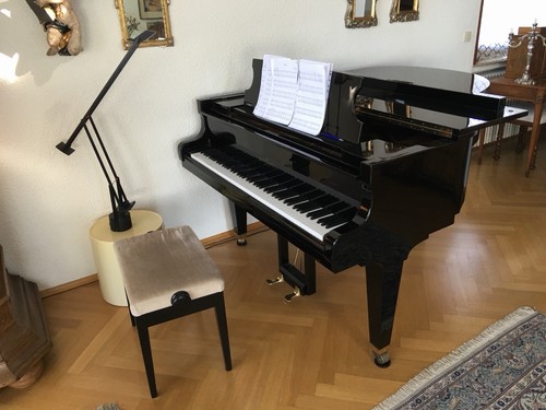 Schimmel flügel 174cm - schimmel,