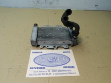 Kühler Wasserkühler Malaguti