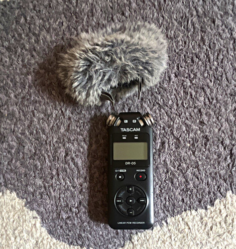 Tascam linear pcm - linear,
