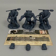 Dust Tactics Sturmaffen