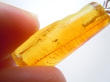 Honig Natur Bernstein Anhänger Insekt Inkluse 1,2 g/3,5 x 1,1 x 0,5 cm