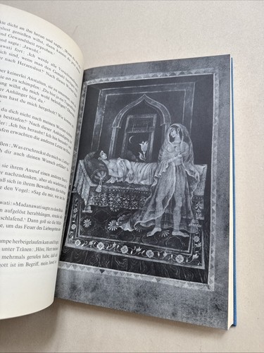 Das papageienbuch morgenroth - das,