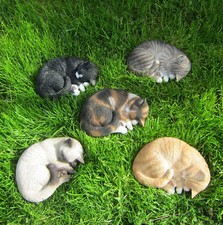 Schlafende Katze Grau