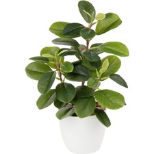 Kunstpflanze Kamelie