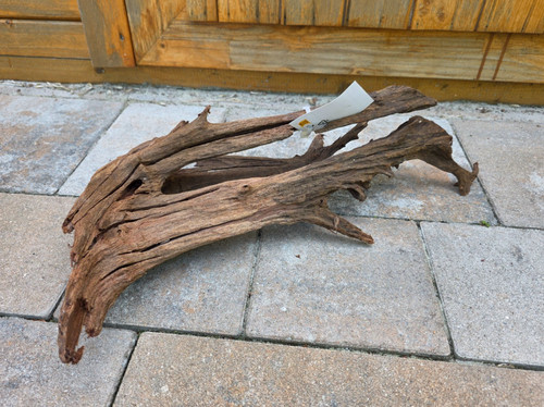 Mangroven wurzel 45x28x12cm - wurzel,