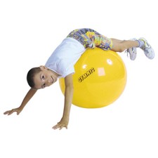 Gymnic gymnastikball sitzball - gymnastikball,