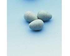 Nesteier für Kanarien