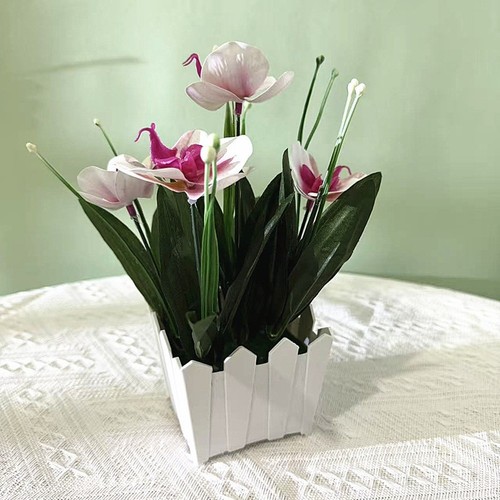 Orchidee herzstück - orchidee,