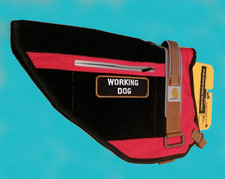 Carhartt Haustierweste