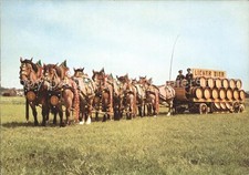 Bier Brauerei-Pferdegespann