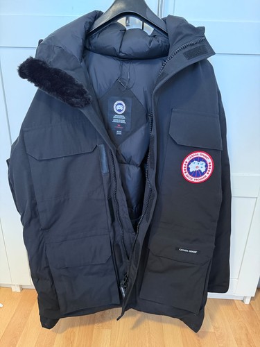 Canada goose snow - canada,