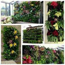 Pflanzenwand Pflanztasche