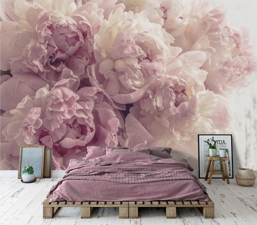 Fototapete blumen rosa - blumen,