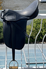 Stubben scandica extra - scandica,