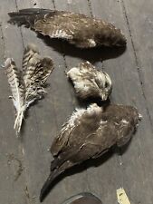 Rollenspiel,Fantasy,Hexe, Troll, Ritter,Basteln, Kostüm, Herr Der Ringe,Karneval