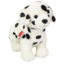 Dalmatiner stehend hund teddy - dalmatiner,