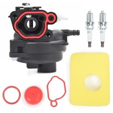 Vergaser Kit für Briggs &