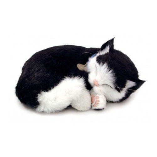 Perfect petzzz 92554 - petzzz,