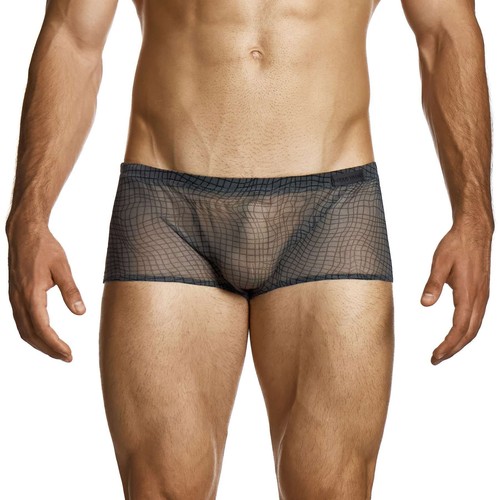 Modus vivendi abstract - vivendi, net