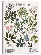 Leinwandbild herbarium kaja - herbarium,
