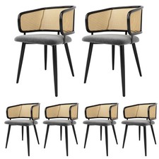 2/4/6er Set Esszimmerstuhl