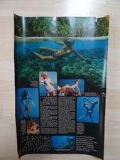 aus Bravo Poster 7/1975